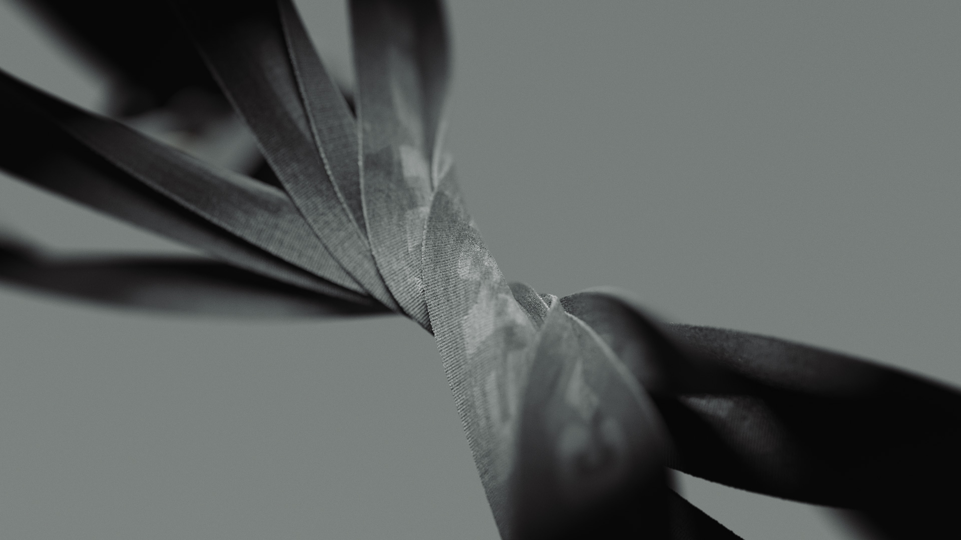 MAIN_Fastex_02 frame01