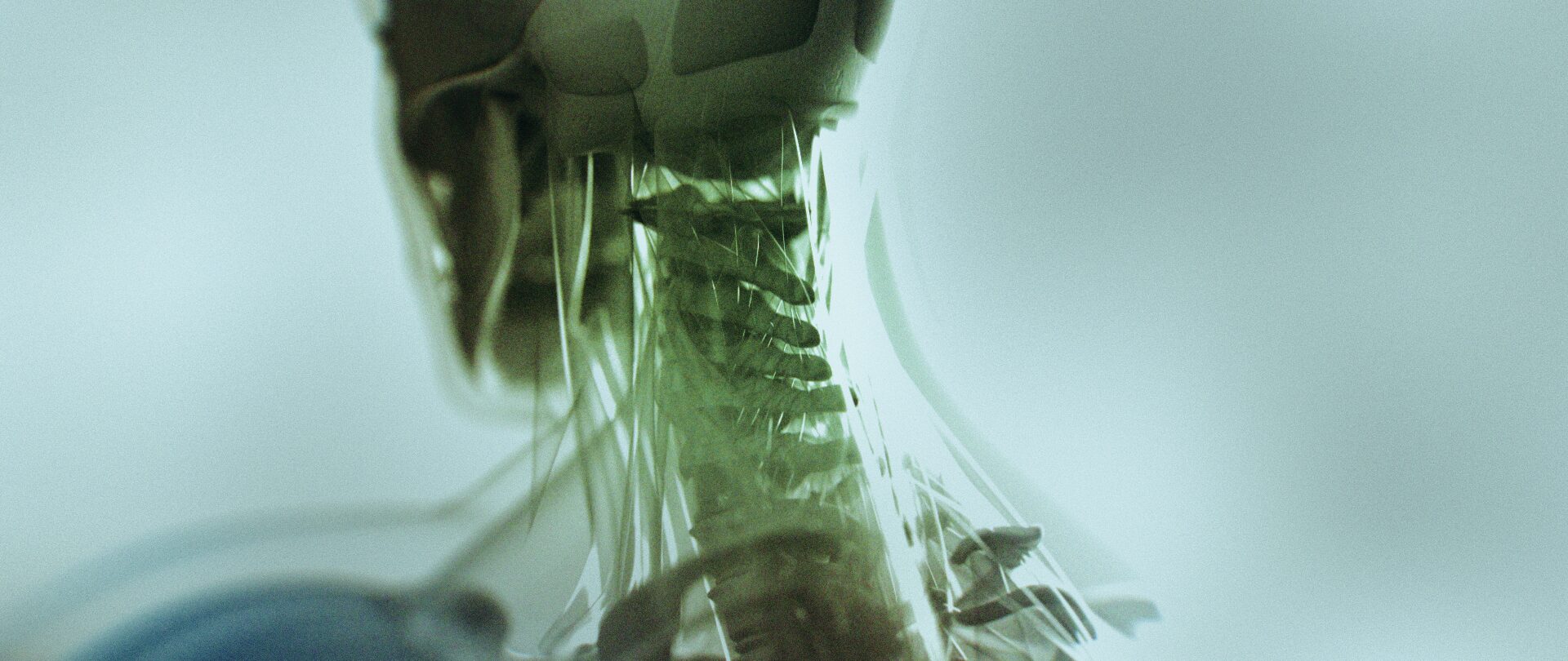 3D neck 01 (00000)